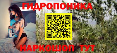 ешки Кингисепп
