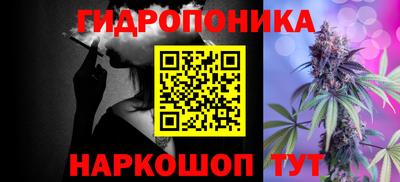ешки Кингисепп