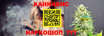 стаф Кинель