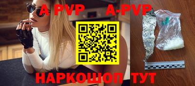ешки Кингисепп