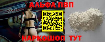 ешки Кингисепп
