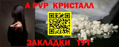 стаф Кинель