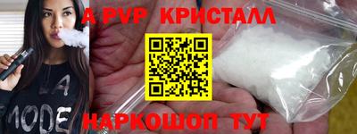 ешки Кингисепп