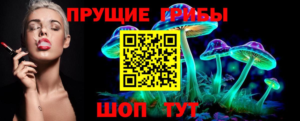 Кубинка  Галлюциногенные грибы Psilocybine cubensis  Вход с VPN  Галлюциногенные грибы GOLDEN TEACHER 